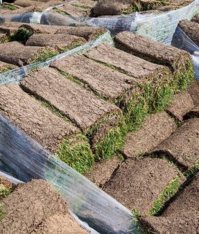 Pallet Of Sod For Sale
