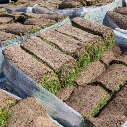 Pallet Of Sod For Sale