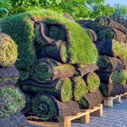Pallet Of Sod For Sale