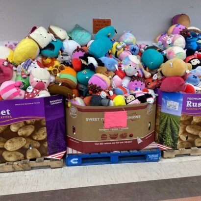 Buy Wholesale Dog Toys By The Pallet