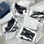Christian Dior Shoes Pallet