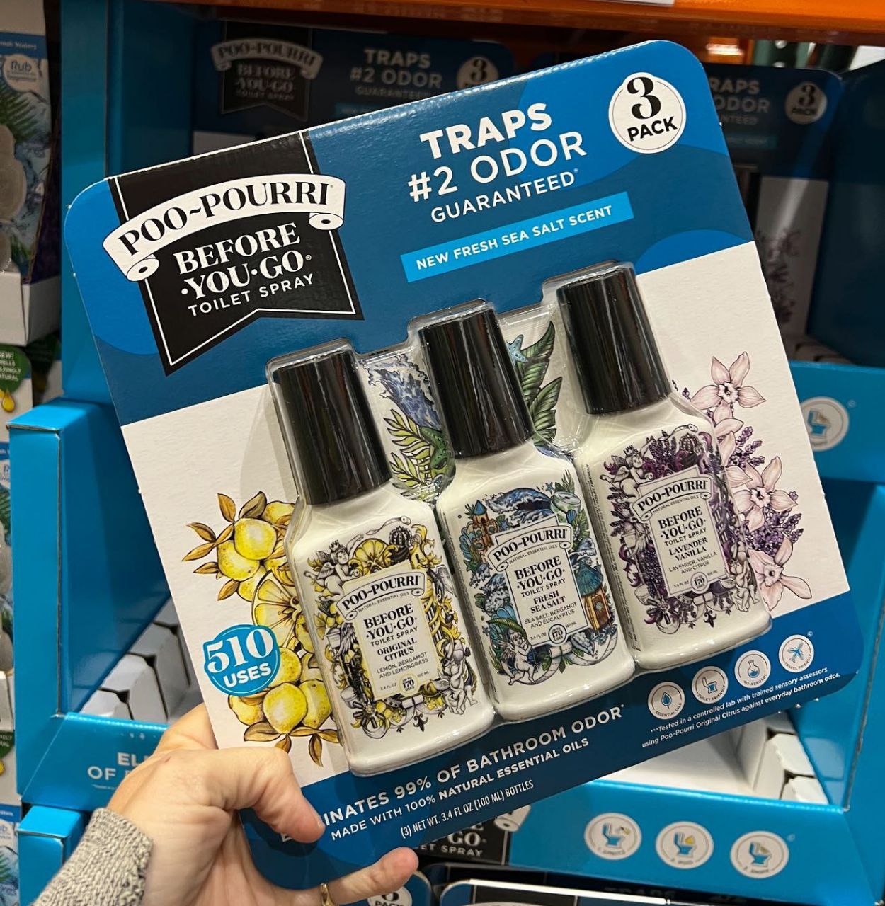 photo_2024-10-29_04-12-48.jpg