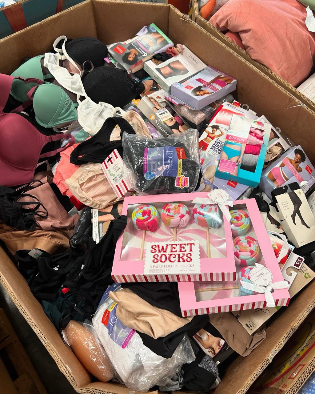 Women’s Underwear Pallet for Sale – Wholesale Underwear in Bulk Women’s Underwear Pallet for Sale – Wholesale Underwear in Bulk